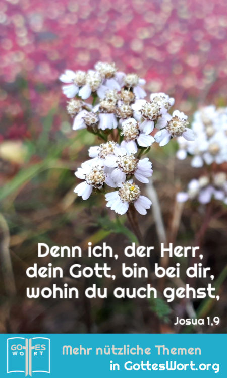 ✚ Denn ich, der Herr, dein Gott, bin bei dir, wohin du auch gehst, Josua 1,9
Lese: https://www.gottes-wort.com/daemonen.html
#bibel #jesuschristus #daemonen #gotteswort
