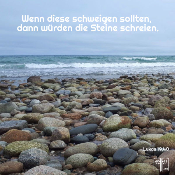 ✚ Wenn sie schweigen, werden die Steine schreien ... Lukas 19,40 
lese www.gottes-wort.com/geboren.html
#gotteswort #gutebotschaft