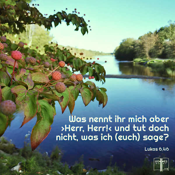 Was nennt ihr mich aber ›Herr, Herr!‹ und tut doch nicht, was ich (euch) sage? Lukas 6,46