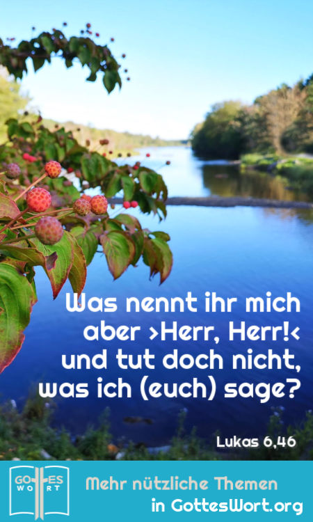 Was nennt ihr mich aber ›Herr, Herr!‹ und tut doch nicht, was ich (euch) sage?
 Lukas 6,46