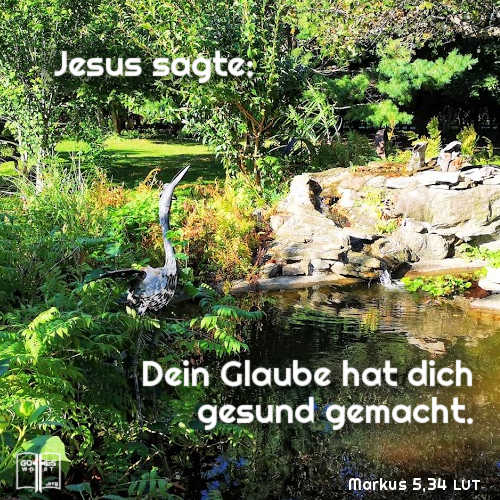 Jesus sagte, Dein Glaube hat dich gesund gemacht. Markus 5,34
Glaubst du das?