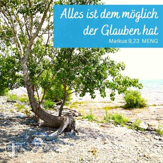 Gottes Bekräftigung ist die Aufgabe des Heiligen Geistes. Jeder Schüler ist mit Prüfungen vertraut, so auch jeder Christ. Das Tun ist aber eine Entscheidung und durch Glauben ermöglicht.