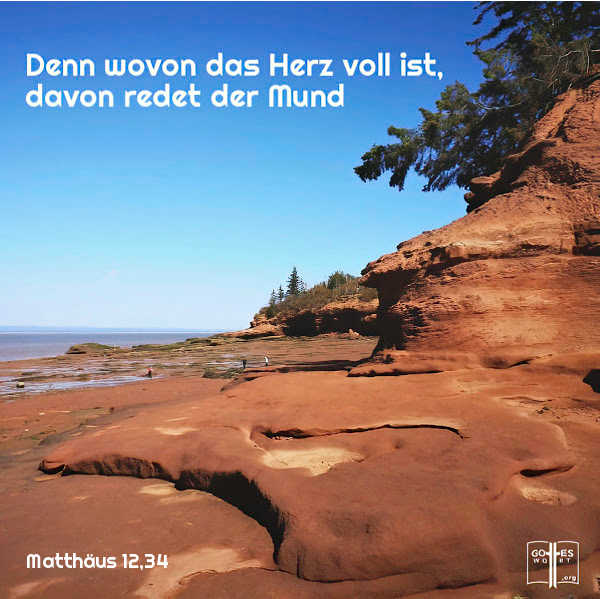 Denn wovon das Herz voll ist, davon redet der Mund, (Matthaeus 12,34)