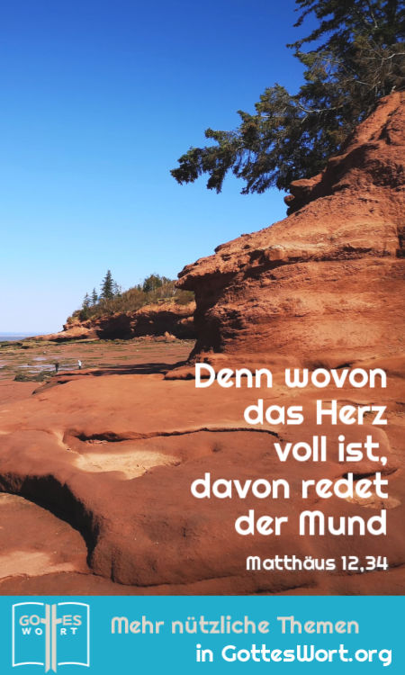 Denn wovon das Herz voll ist, davon redet der Mund, (Matthaeus 12,34)