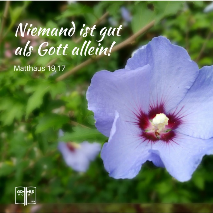 Niemand ist gut als Gott allein! Matthäus 19,17
Lese: https://www.gottes-wort.com/nahe.html