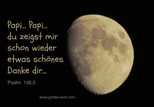 Papi, Papi … du zeigst mir schon wieder etwas schönes … Danke dir … Psalm 136,5