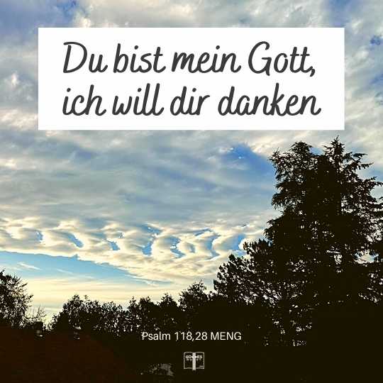 Du bist mein Gott, ich will dir danken; mein Gott, ich will dich erheben! Psalm 118,28