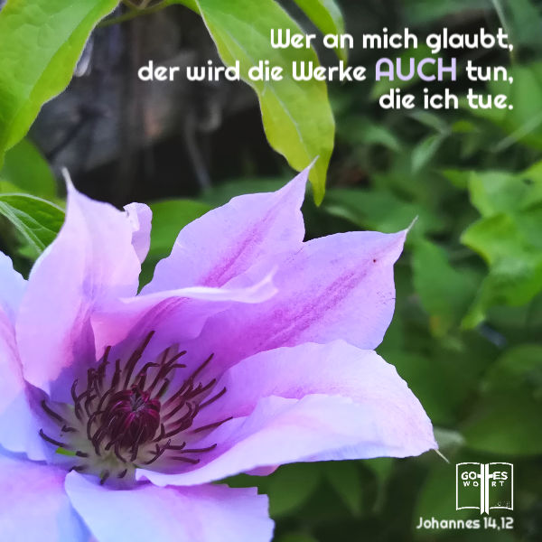 Jesus weissagte: Wer an mich glaubt, der wird die Werke auch tun, die ich tue, Joh 14,12.
#unsicherheit #glaube #gotteswort #bibel