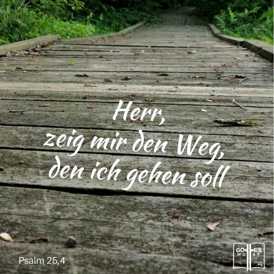 ✚ Der Weg, die Wahrheit, und das Leben:
Herr, zeig mir den Weg den ich gehen soll. Psalm 25,4 
Lese: https://www.gottes-wort.com/weg.html
#weg #wahrheit #leben