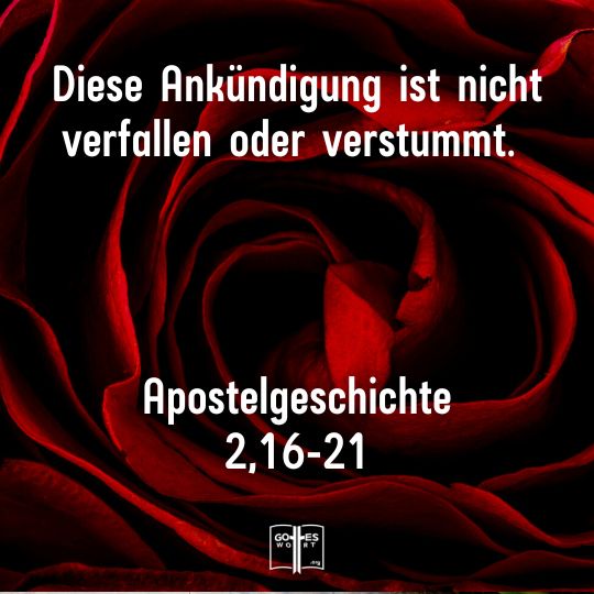 Die Salbung des Heiligen Geistes und die Beweise der Autorität des Namens Jesus, ist nicht nur grundlegend, sondern standhaltend für die, die sich zu ihm bekennen.