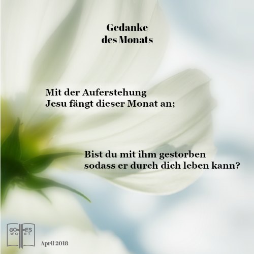 Bist du neu geboren? Ist Christus dein Herr? Was ist 'neu geboren?' 
lese www.gottes-wort.com/gefuehle.html
#auferstehung #neugeburt #ewigesleben #persönlicheeinladung