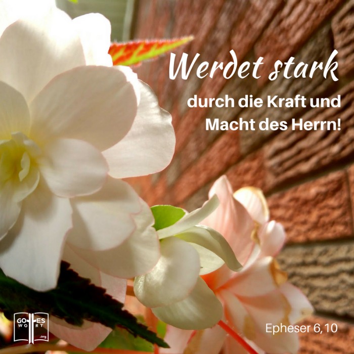 Und schließlich: Werdet stark durch die Kraft und Macht des Herrn! ... Epheser 6,10