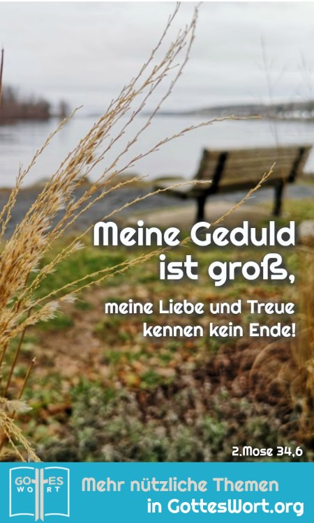 ✚ Meine Geduld ist groß, meine Liebe und Treue kennen kein Ende! 2.Mose 34,6
https://www.gottes-wort.com/einmalig.html
#einmalig #liebe #gotteswort #treue