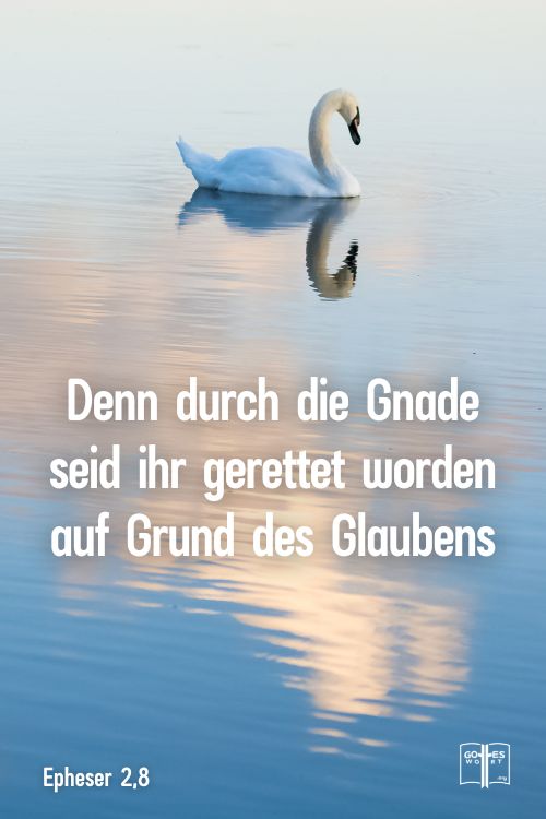 Denn durch die Gnade seid ihr gerettet worden auf Grund des Glaubens, Epheser 2,8 - Schwan spiegelt sich im Wasser