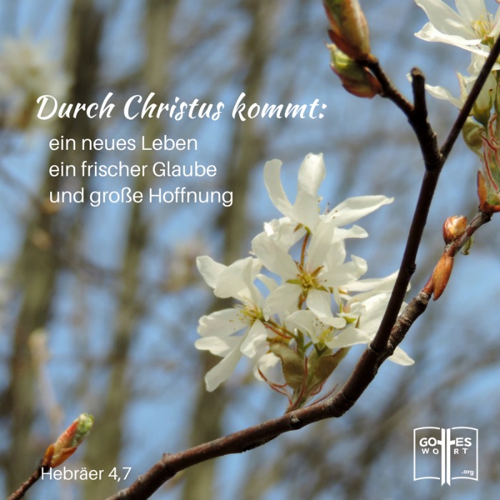 Ewiges Leben - du musst dich selbst entscheiden in welche Richtung du gehen möchtest.