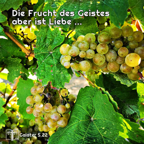 Die Frucht des Geistes ist Liebe und ....