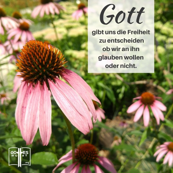 Gottes Gerechtigkeit. Gott gibt uns die Freiheit zu entscheiden ob wir an ihn glauben wollen oder nicht. ... https://www.gottes-wort.com/gottes-gerechtigkeit.html
#gottesgerechtigkeit #gotteswort