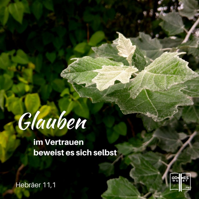 Der Glaube ...  im Vertrauen beweist es sich selbst Hebräer 11.1 #glauben #gotteswort
Lese https://www.gottes-wort.com/glaube.html