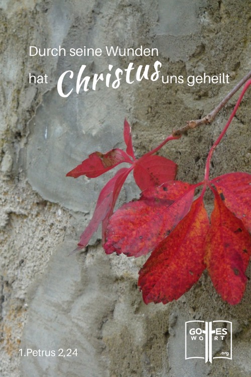 ✚ Heilung ist das vorgeschriebene Recht für jeden Christ egal mit welchen körperlichen Beschwerden man zu tun hat.
www.gottes-wort.com/heilung.html
#heilung #gesundheit #gottesheilung #beschwerden