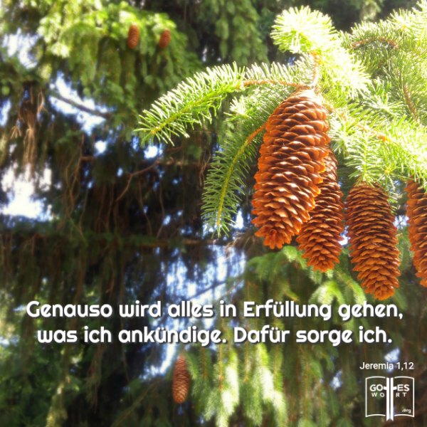 »Genauso wird alles in Erfüllung gehen, was ich ankündige. Dafür sorge ich.« Jeremia 1,12
lese: www.gottes-wort.com/erfolg.html
#erfolg #gotteswort