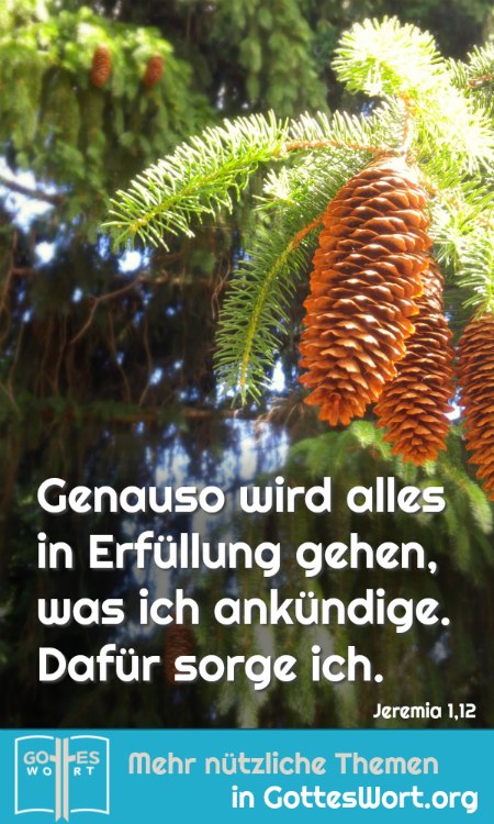 »Genauso wird alles in Erfüllung gehen, was ich ankündige. Dafür sorge ich.« Jeremia 1,12
lese: www.gottes-wort.com/erfolg.html
#erfolg #gotteswort