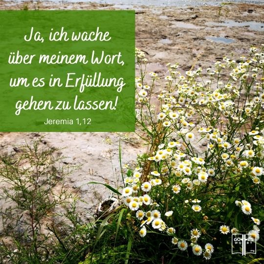 Gott prophezeite Heilung und offenbarte sie durch Jesus Christus, der sie mit seiner Vollmacht den Versöhnten verlieh, um sie fortzusetzen. Heute noch ist der Tag des Heils vorhanden.