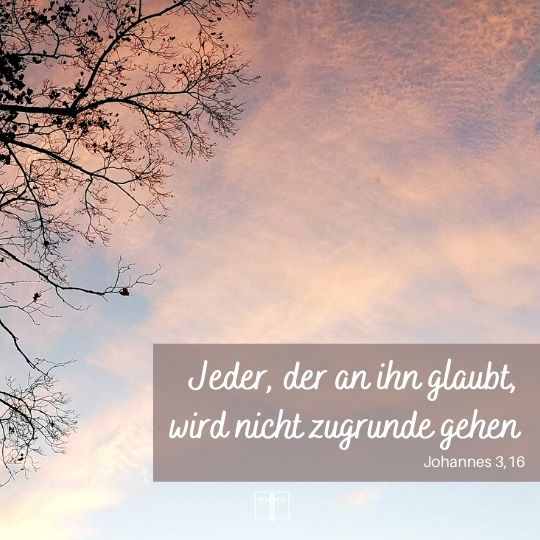 Jeder, der an ihn glaubt, wird nicht zugrunde gehen, sondern das ewige Leben haben.... Johannes 3,16