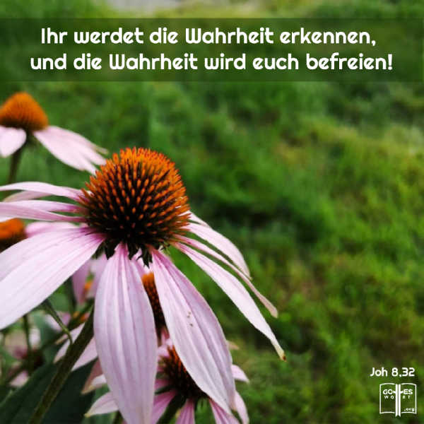 Vieles in der Bibel ist nicht vollständig begreifbar, ohne in den verschiedenen Briefen und Prophezeiungen die Zusammenhänge zu finden. Wie wird die richtige Einsicht ohne Irrtum dafür erhalten? 