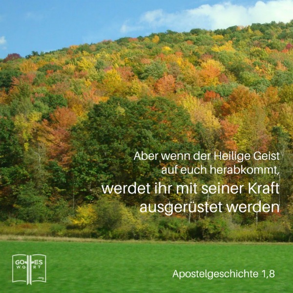 ✚  Aber wenn der Heilige Geist auf euch herabkommt, werdet ihr mit seiner Kraft ausgerüstet werde. Apostelgeschichte 1,8. 
Lesen: https://www.gottes-wort.com/prophetie.html
#prophetie #heiligergeist