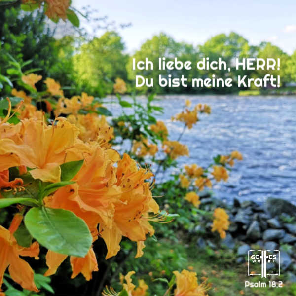 Ich liebe dich, HERR! Du bist meine Kraft! 
Psalm 18,2