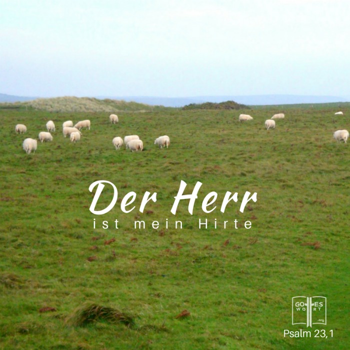 ✚ Gottes Wort: Die Namen Gottes im Psalm 23 ~ Der Herr ist mein Hirte!
https://www.gottes-wort.com/Die-namen-gottes.html
#gotteswort #psalm23 #jehovah #jesuschristus #derherristmeinhirte