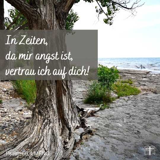 In Zeiten, da mir angst ist, vertrau ich auf dich! Psalm 56,4 MENG