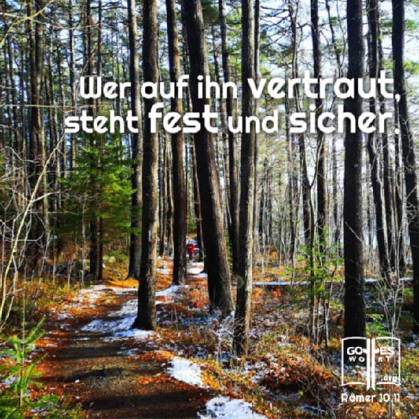 ✚ Warum ein Glaube an Jesus? ... Wer auf ihn vertraut, steht fest und sicher. Römer 10,11
Lese: https://www.gottes-wort.com/ein-glaube.html
#glaube #jesuschristus #gotteswort