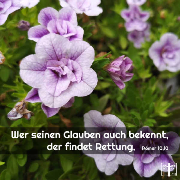 Wer also von Herzen glaubt, wird von Gott angenommen; und wer seinen Glauben auch bekennt, der findet Rettung.
Römer 10,10