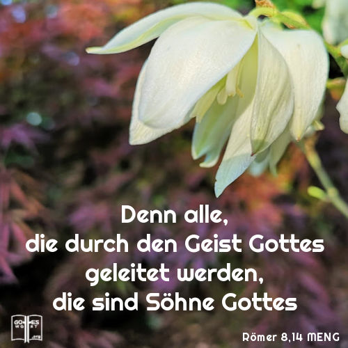 Denn alle, die durch den Geist Gottes geleitet werden, die sind Söhne Gottes, Römer 12,14