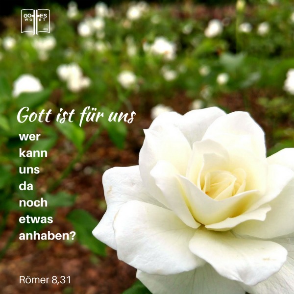 Also, von Römer 8,31 “Wenn Gott für uns ist, wer könnte dann gegen uns sein?” lässt nur eine Möglichkeit … den Teufel. 
Lese: https://www.gottes-wort.com/gott-ist.html