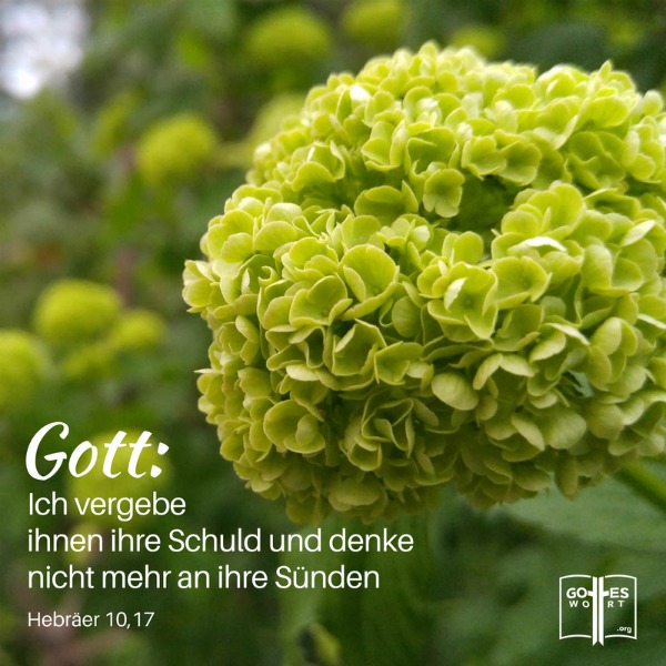 Vergeben und Vergessen. Das ist unser Gott!
Hebräer 10,17
https://www.gottes-wort.com/vergeben-und-vergessen.html
 #verfehlung #vergebung #suende #gotteswort