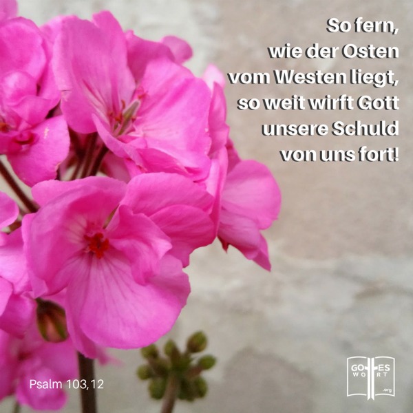 Vergebung steht gleich mit “vergessen” oder “keine Erinnerung” als wenn etwas niemals existierte. #vergebung #sünden #schlechtesgewissen #gewissensbisse #schuld lese www.gottes-wort.com/vergebung.html