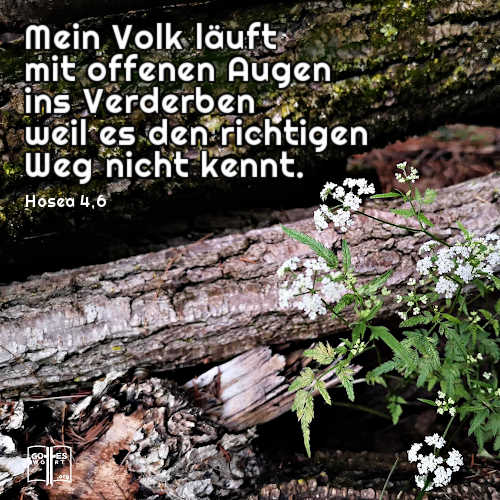 Eine der Fragen im christlichen Leben: Sind Gottes Verheißungen verfügbar, wie es geschrieben steht? Ja, aber nur durch das Durchsuchen der Schriften werden die Bedingungen für das Bekommen offenbart, und das beansprucht Mühe.