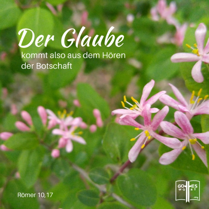 Wachsender Glaube. Glaube für Heilung. Für das tägliche Leben. Für das ewige Leben. Wie tuen wir das?