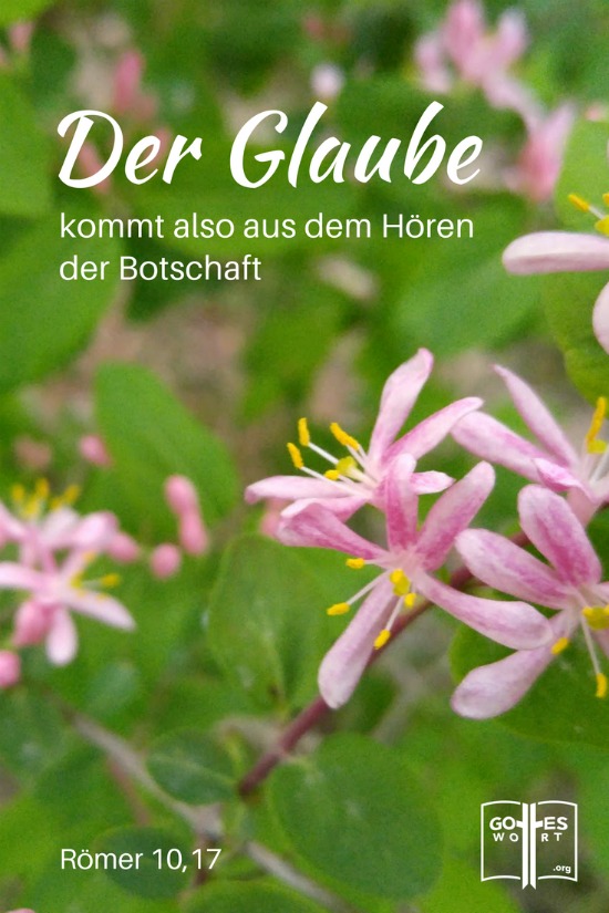 ✚ Wachsender Glaube: Glaube für Heilung, für das tägliche Leben, für das ewige Leben. Wie tuen wir das?
https://www.gottes-wort.com/wachsender-glaube.html
#glaube #wachsenderglaube