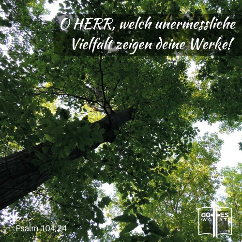 Weisheit ... einer der Eigenschaften Gottes ... 
Psalm 104,24