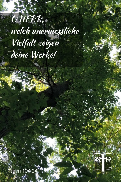 Weisheit ... einer der Eigenschaften Gottes ... 
Psalm 104,24