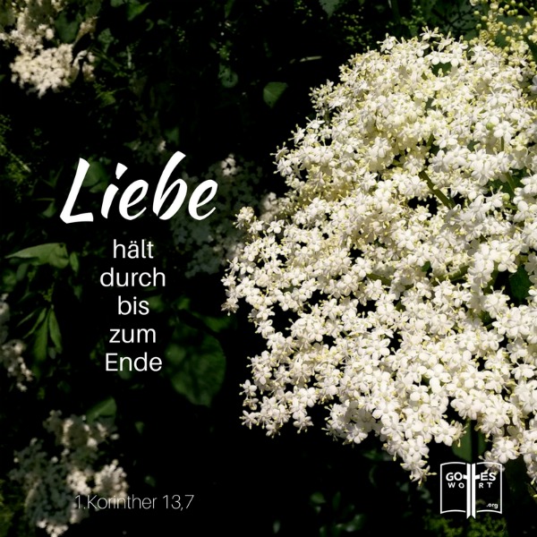 Lebenswerte mit erwartungsvoller Hoffnung, erreichbaren Zielen, unerwarteten Beförderungen, besseren Entscheidungen, der Befriedigung aller Bedürfnisse können dir zugunsten stehen. Gibt's so etwas?